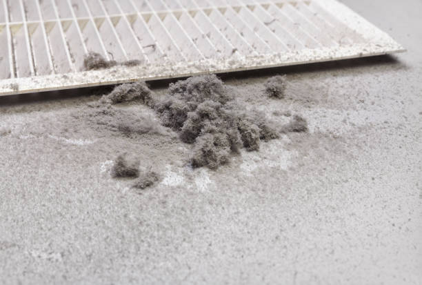 Best Air Duct Cleaning Near Me  in Sheridan, WY
